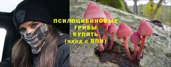 тгк Верея