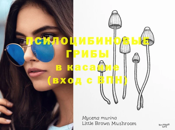 тгк Верея