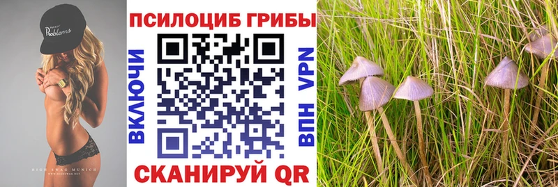 закладка  Карталы  нарко площадка формула  Галлюциногенные грибы прущие грибы 